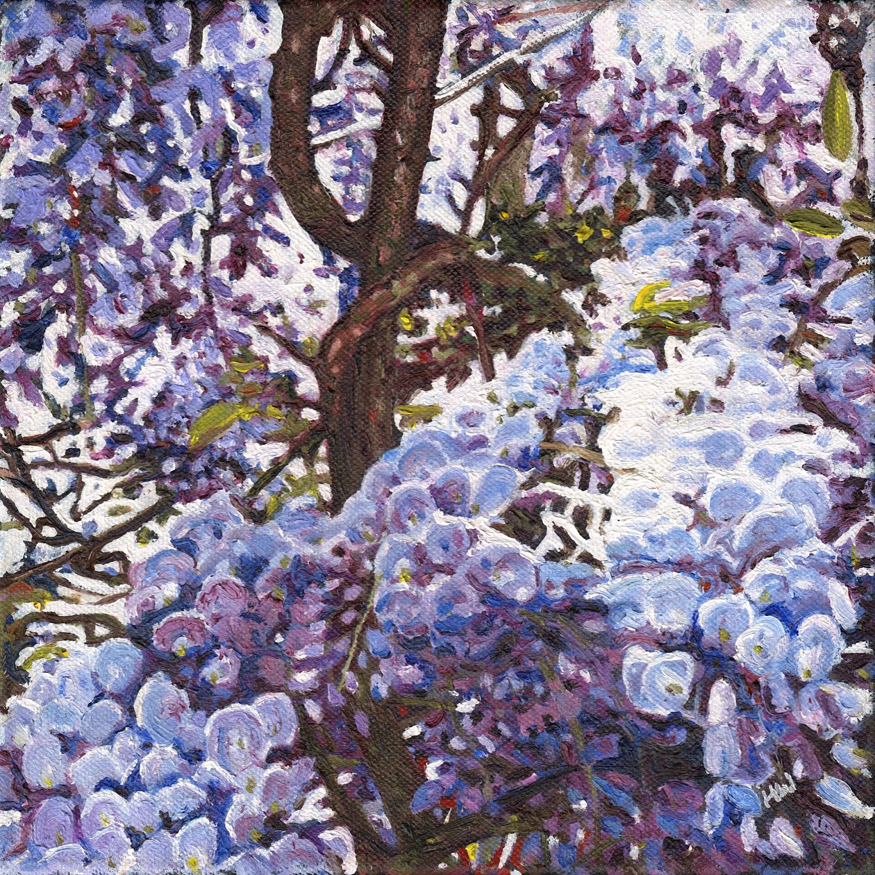 Blue Wisteria, 2012 av Helen White