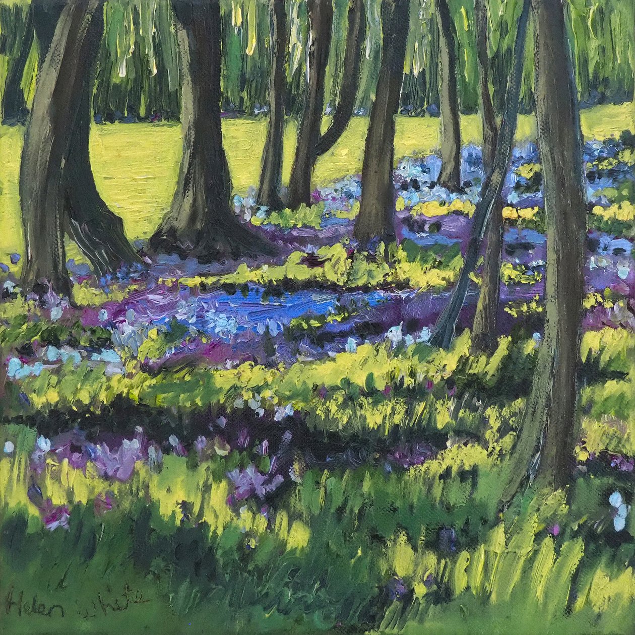 Bluebell Wood, 2008 av Helen White