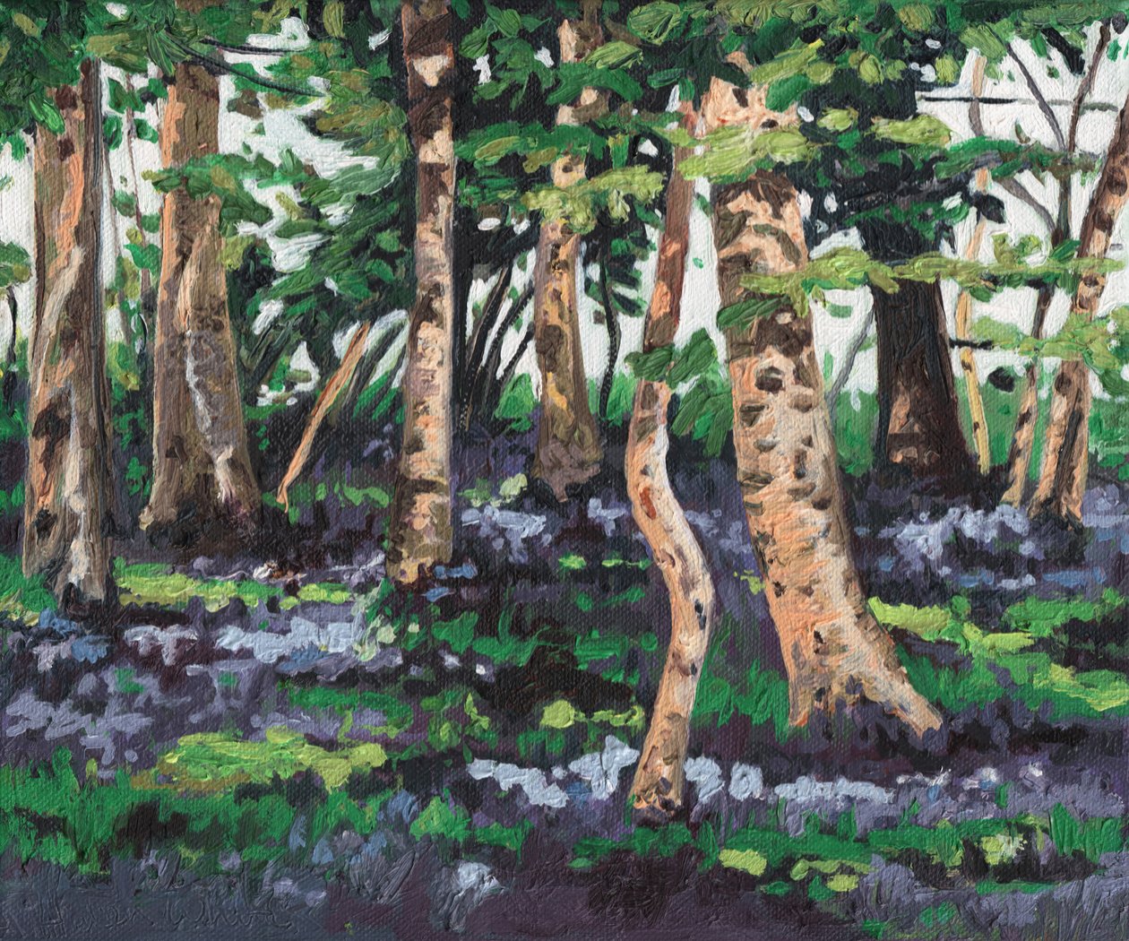 Bluebell wood, 2009, av Helen White
