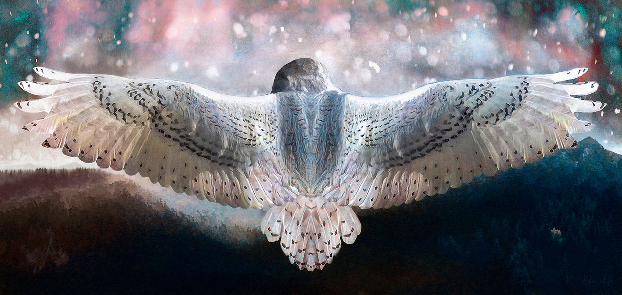 Våg å fly, 2019 av Helen White