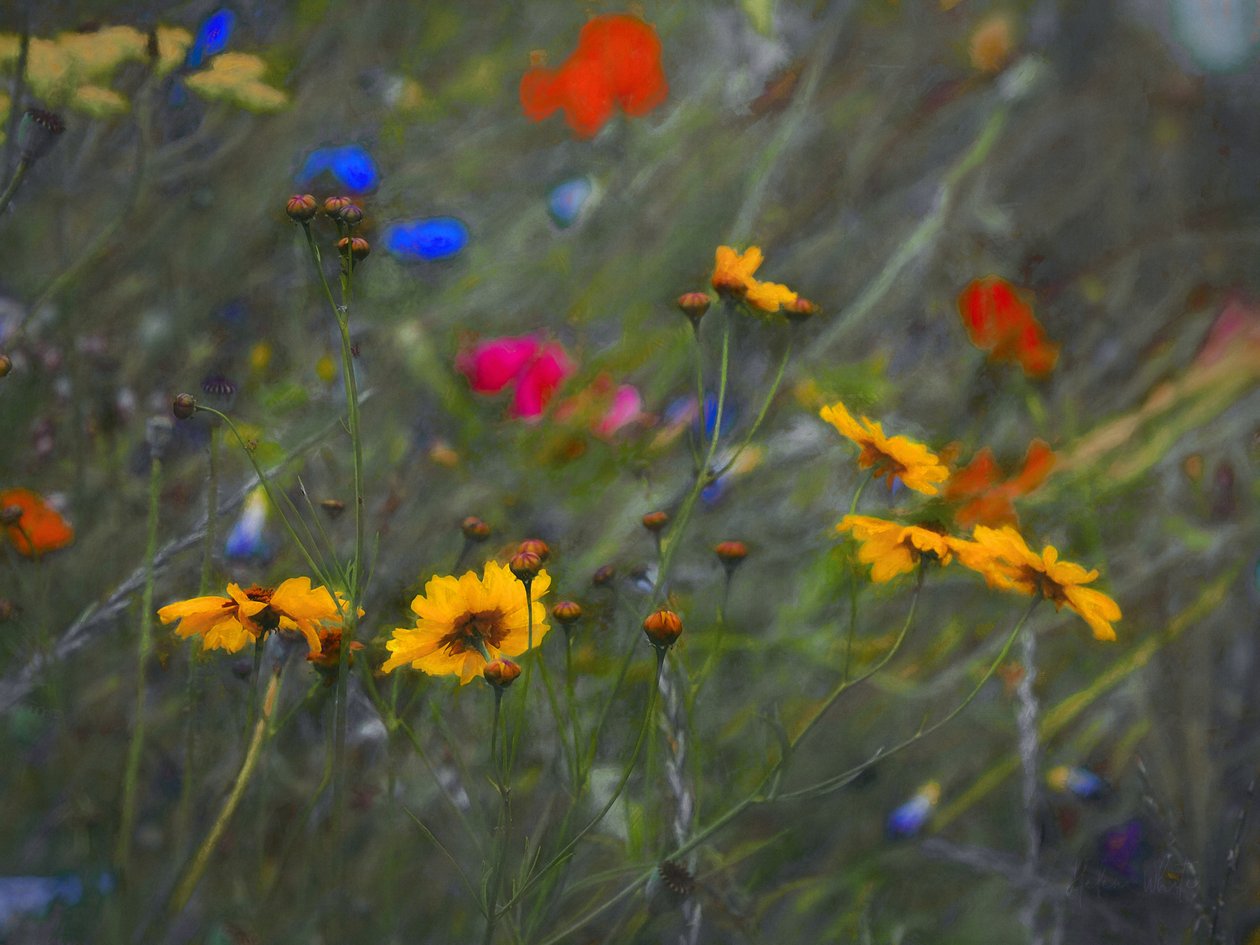 Divine Mystery, 2020 av Helen White
