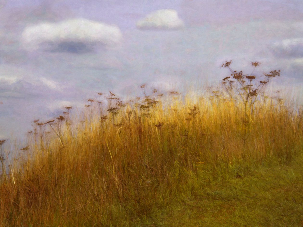 Drifting, 2019 av Helen White
