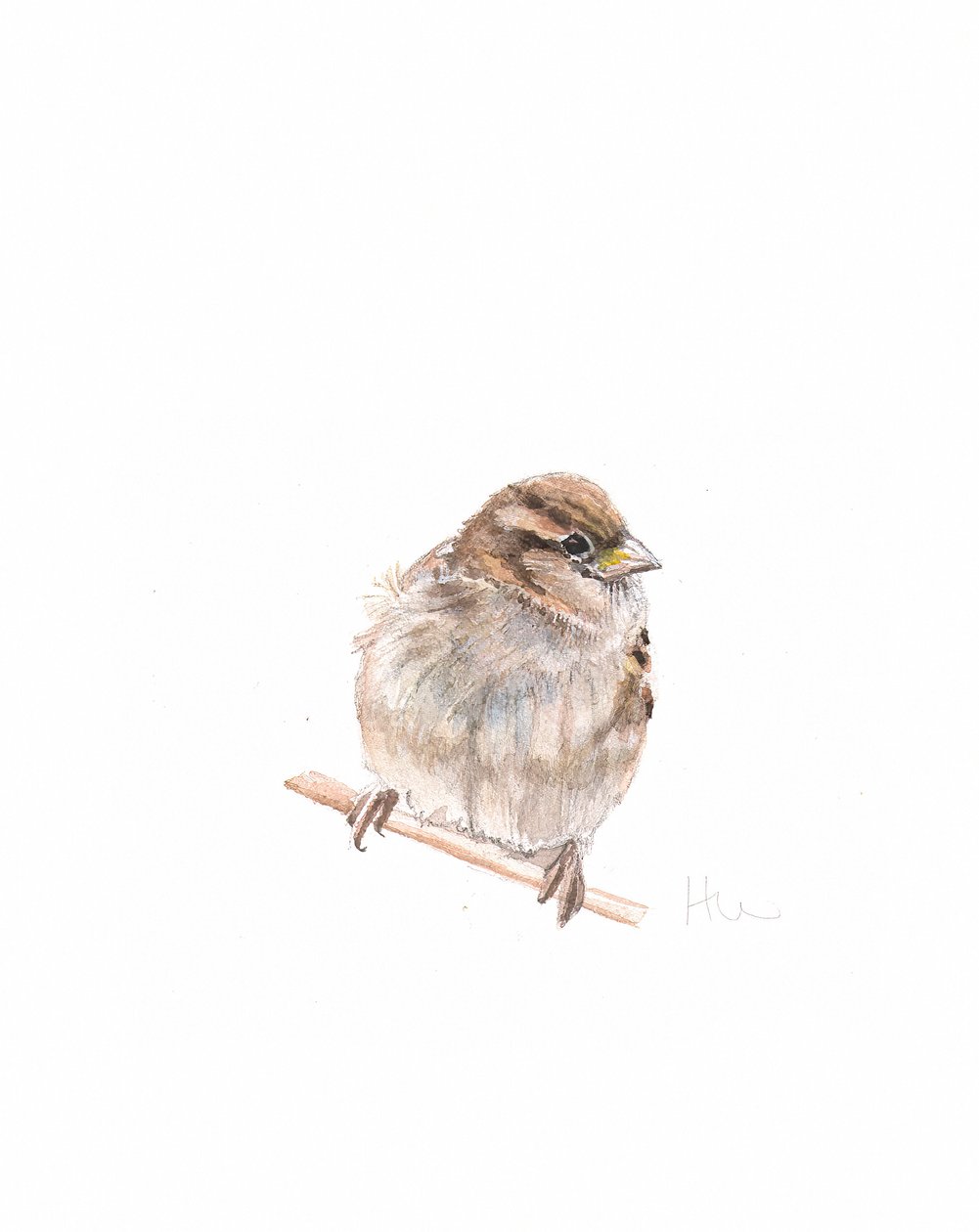 Kvinne Sparrow III, 2022 av Helen White