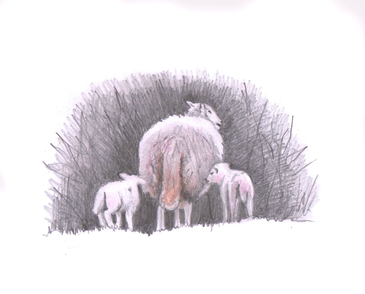 Følg, 2016, (blyanttegning) av Helen White