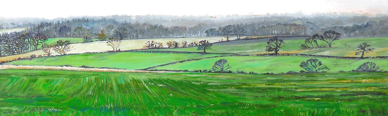 Fra toppen av Farley Hill, 2008 av Helen White
