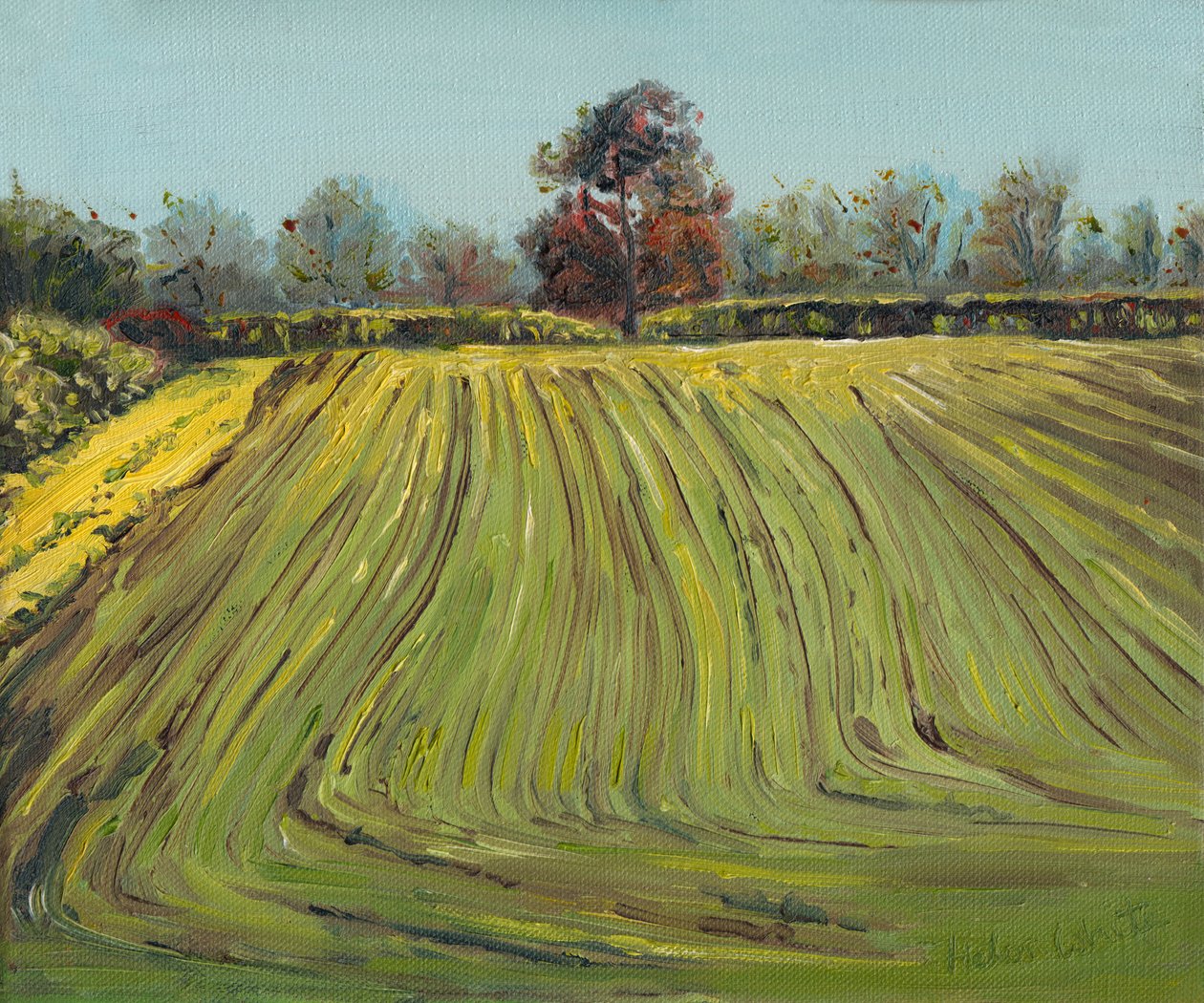 Furer, 2008 av Helen White