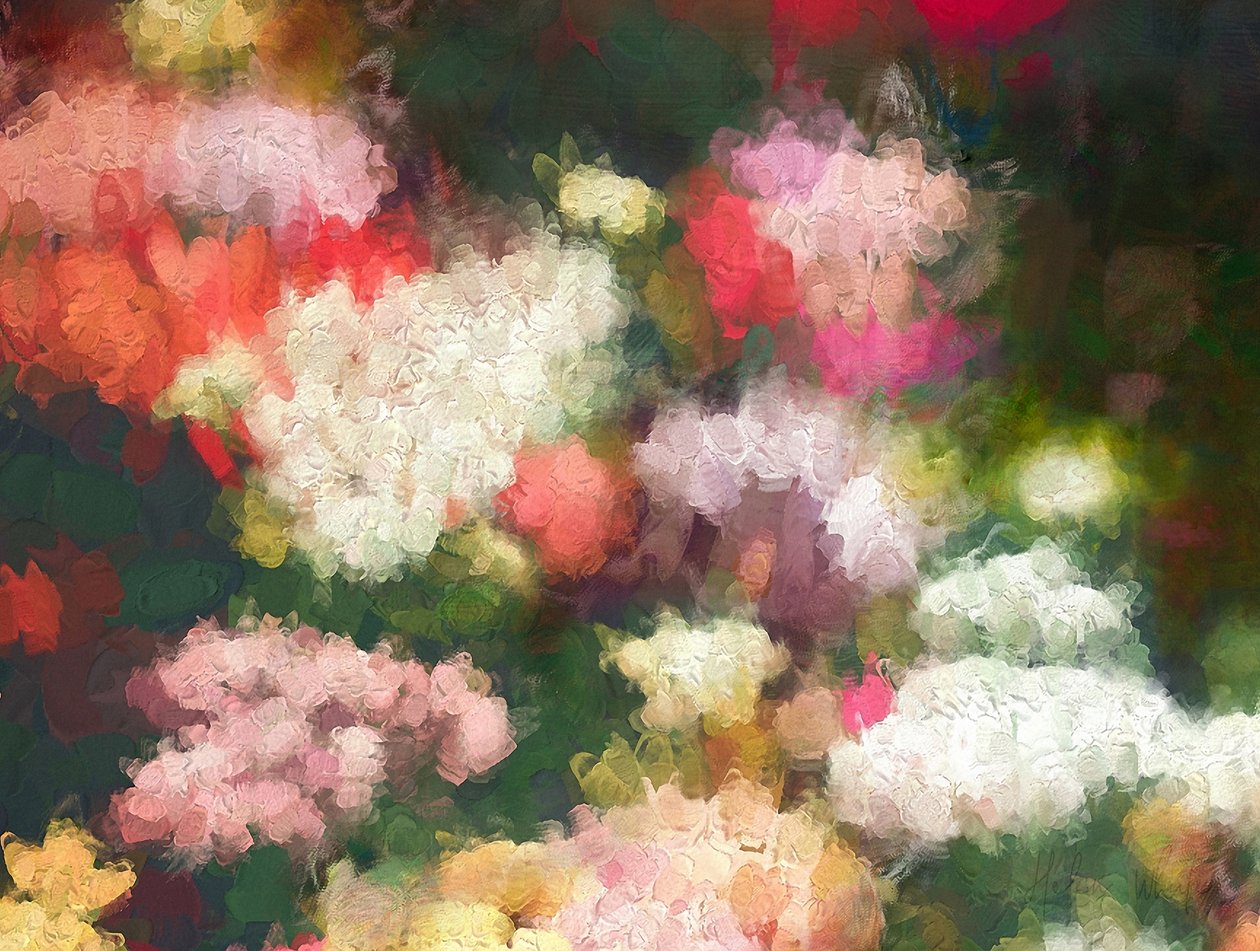 Hjertets hage, 2018 av Helen White