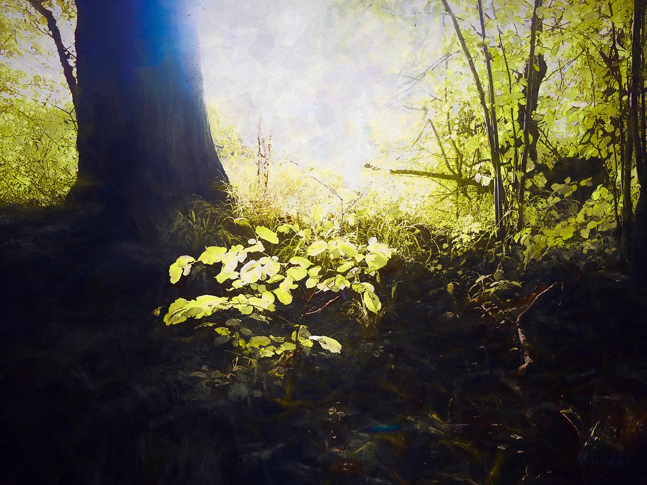Det hellige sted, 2018 av Helen White