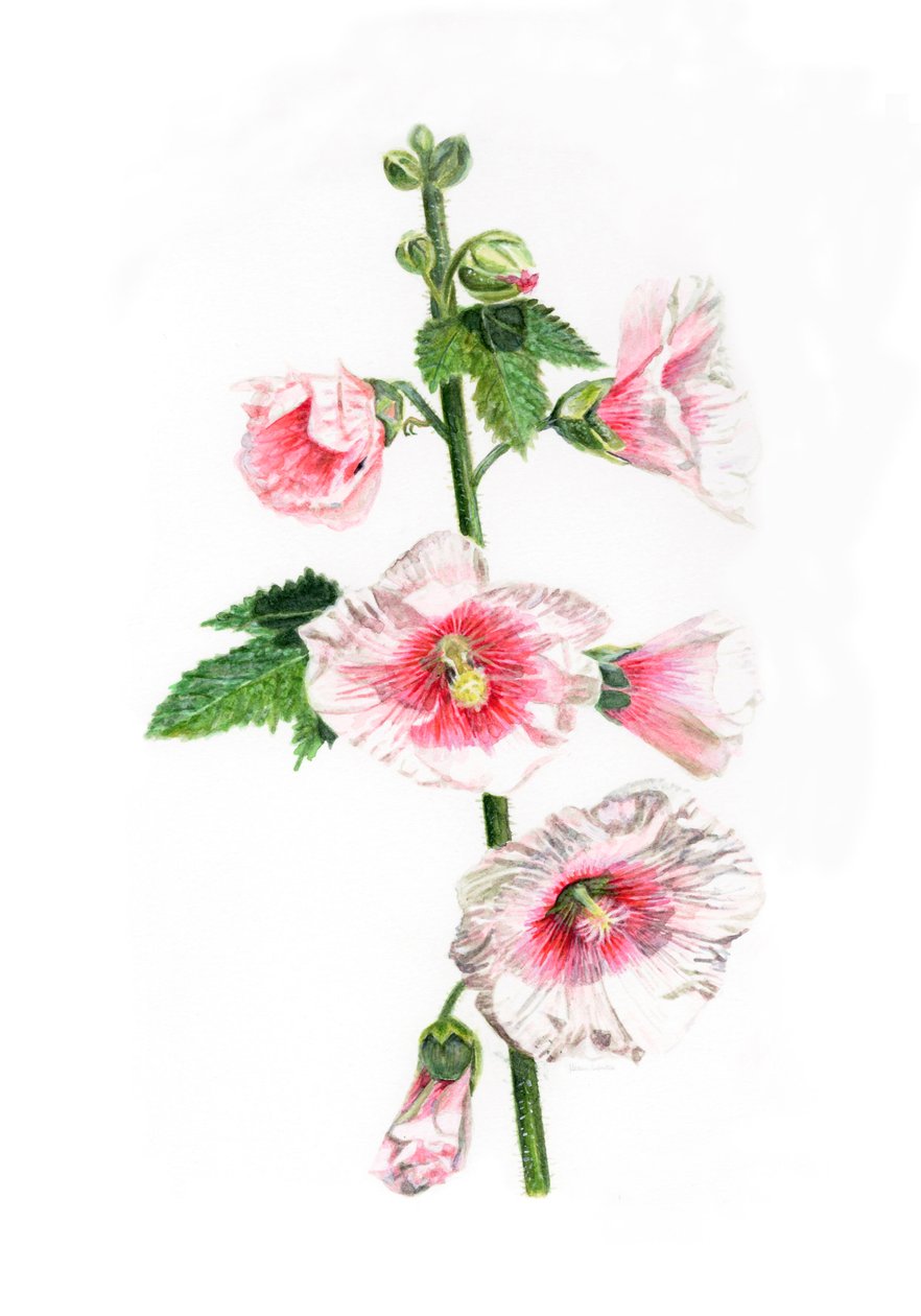  av Helen White