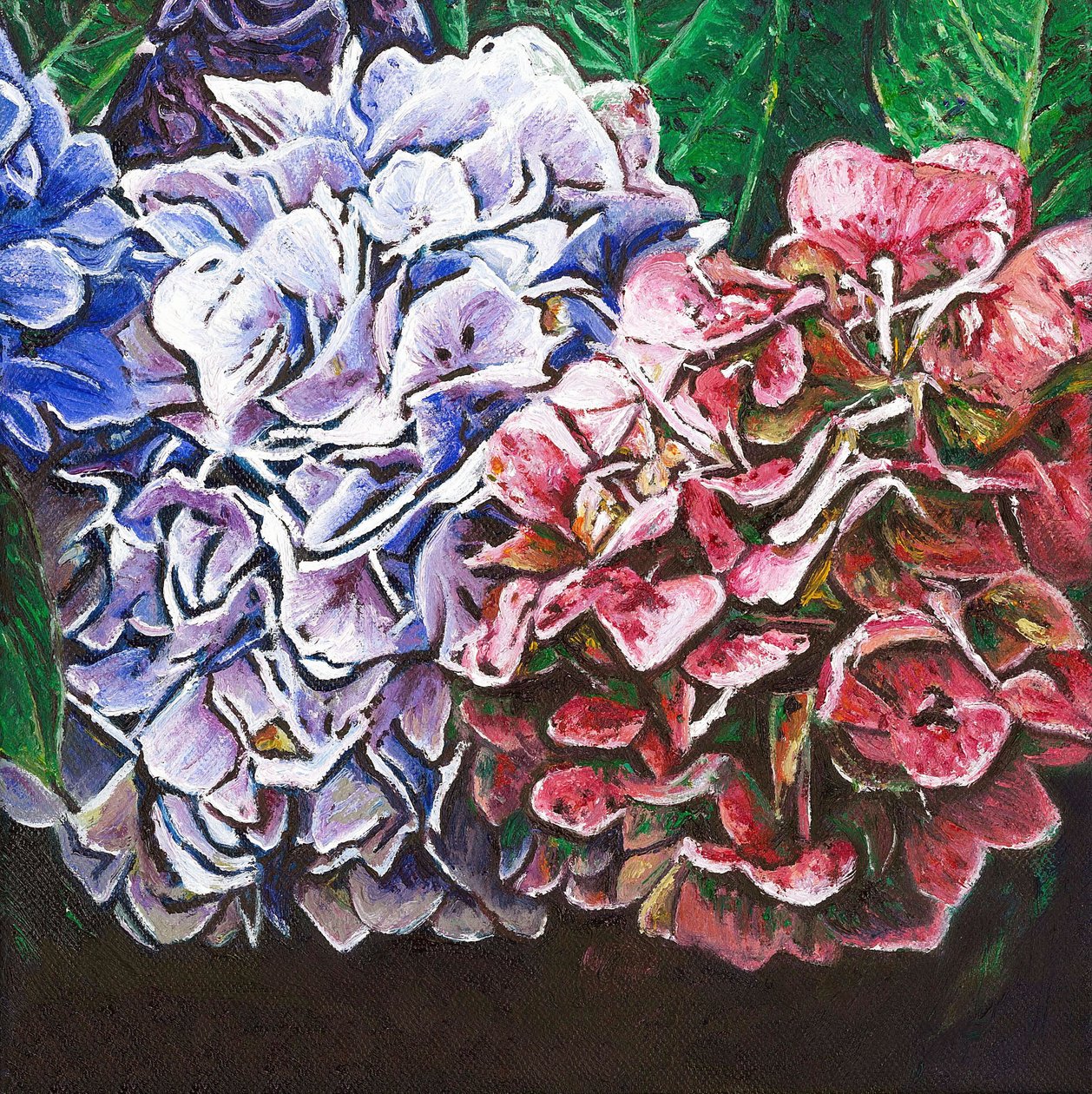 Hortensia, 2010, av Helen White