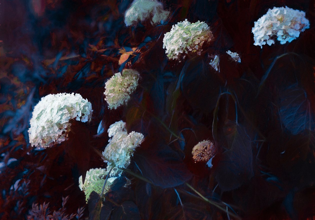 I det bleke måneskinnet, 2019 av Helen White