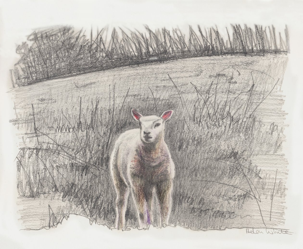 Lamby, 2016 av Helen White