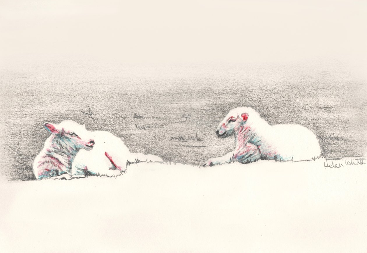 Napping, 2016, (blyanttegning) av Helen White