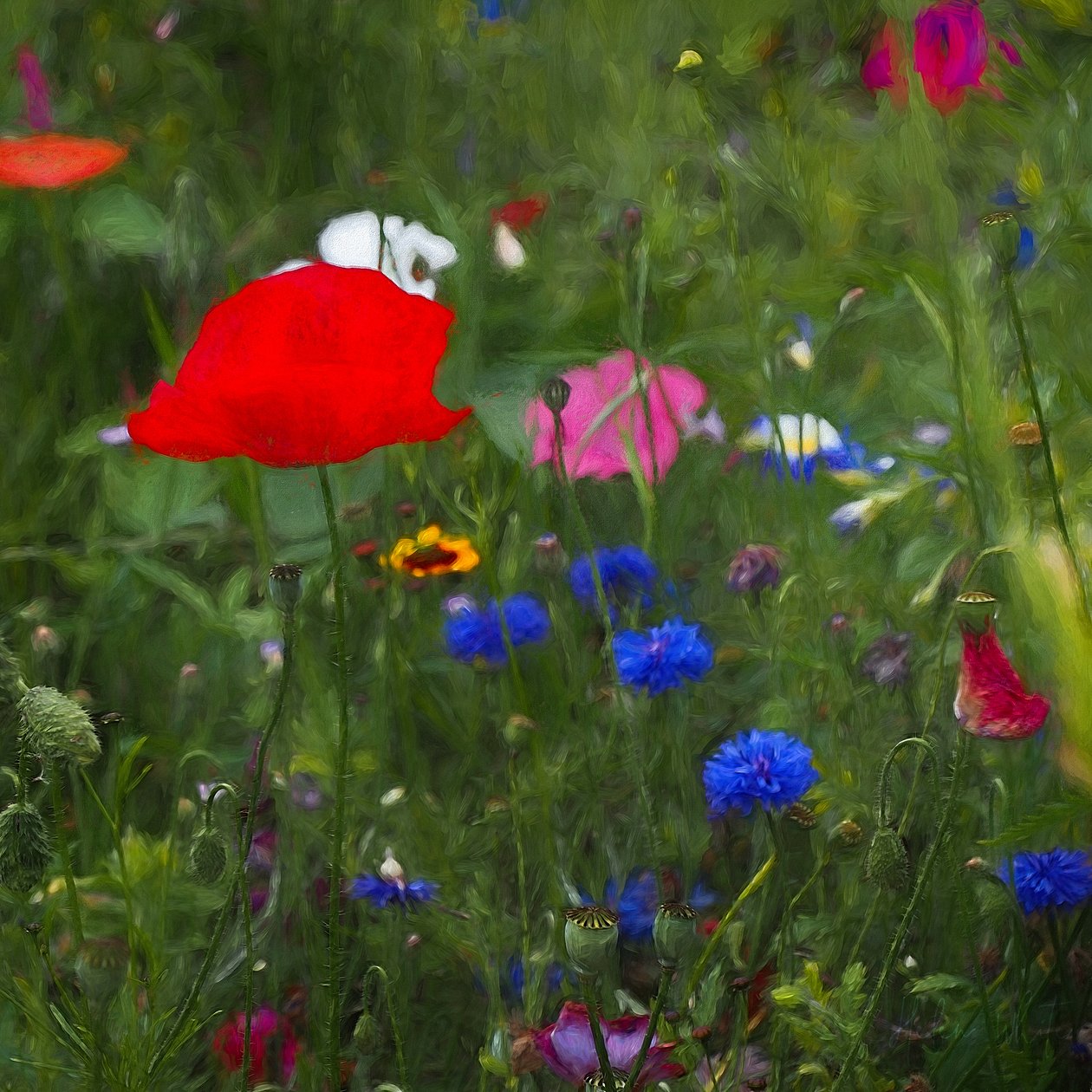 Naturens fargeboks, 2019 av Helen White