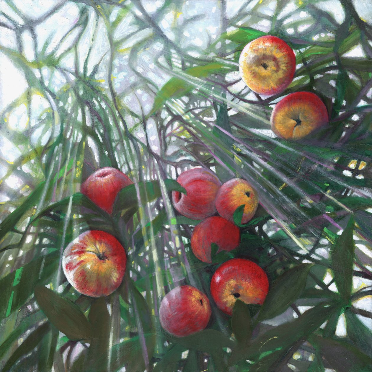 Nytt lys på Eden, 2016, av Helen White