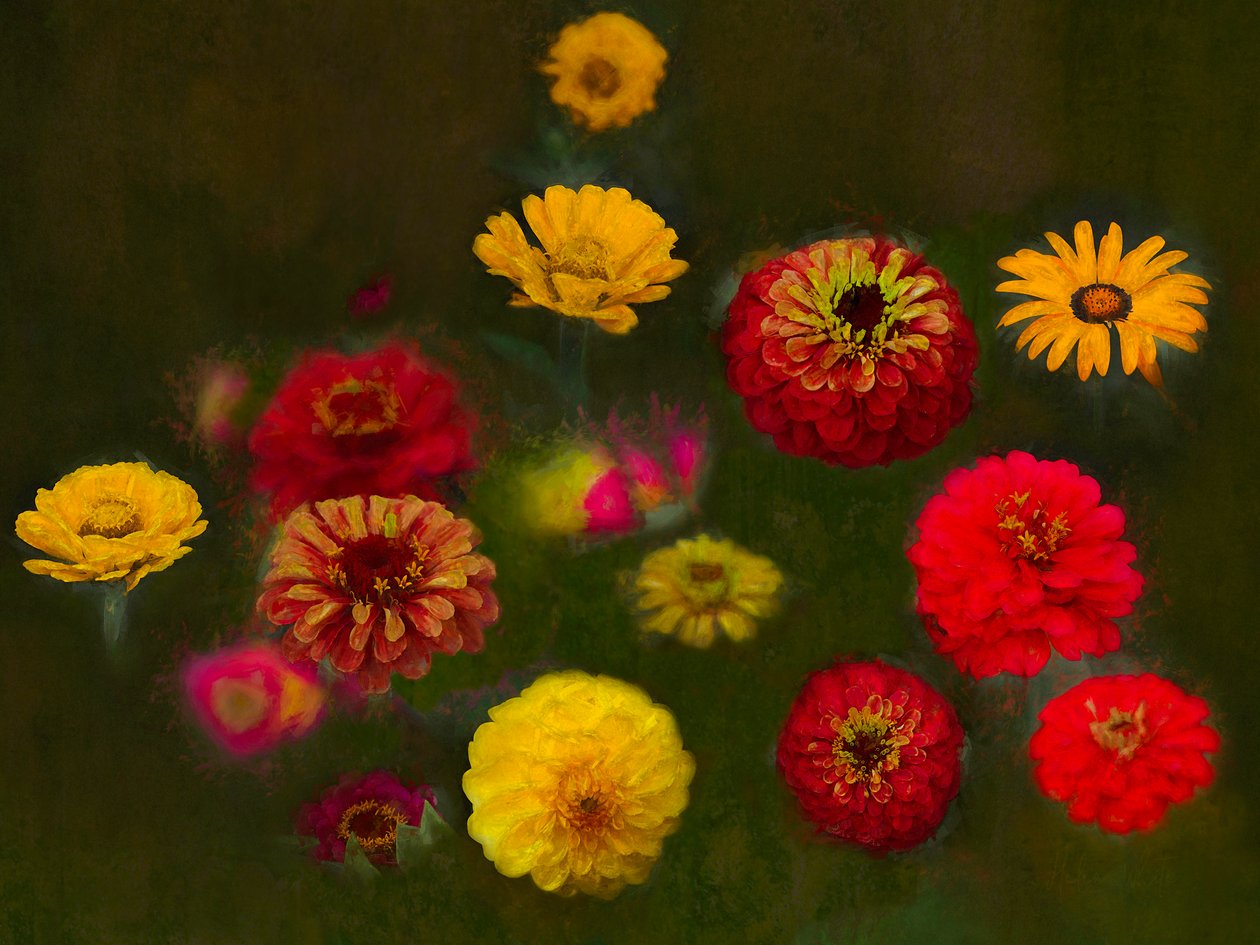 Enestående skjønnhet, 2019 av Helen White