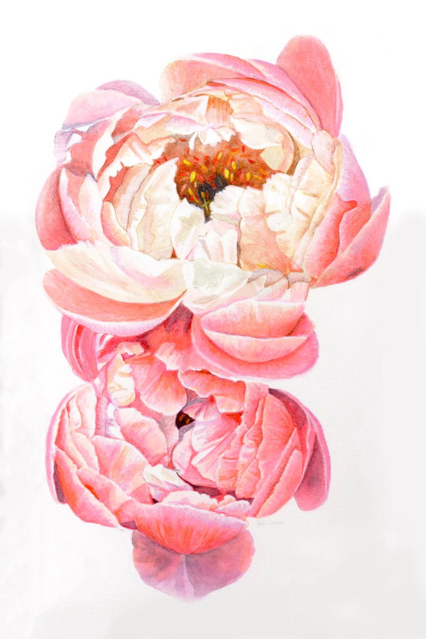 Peoner, 2021 av Helen White