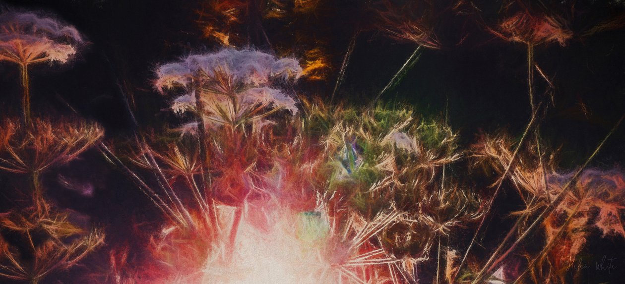 Radiant Hedgerow, 2018, av Helen White