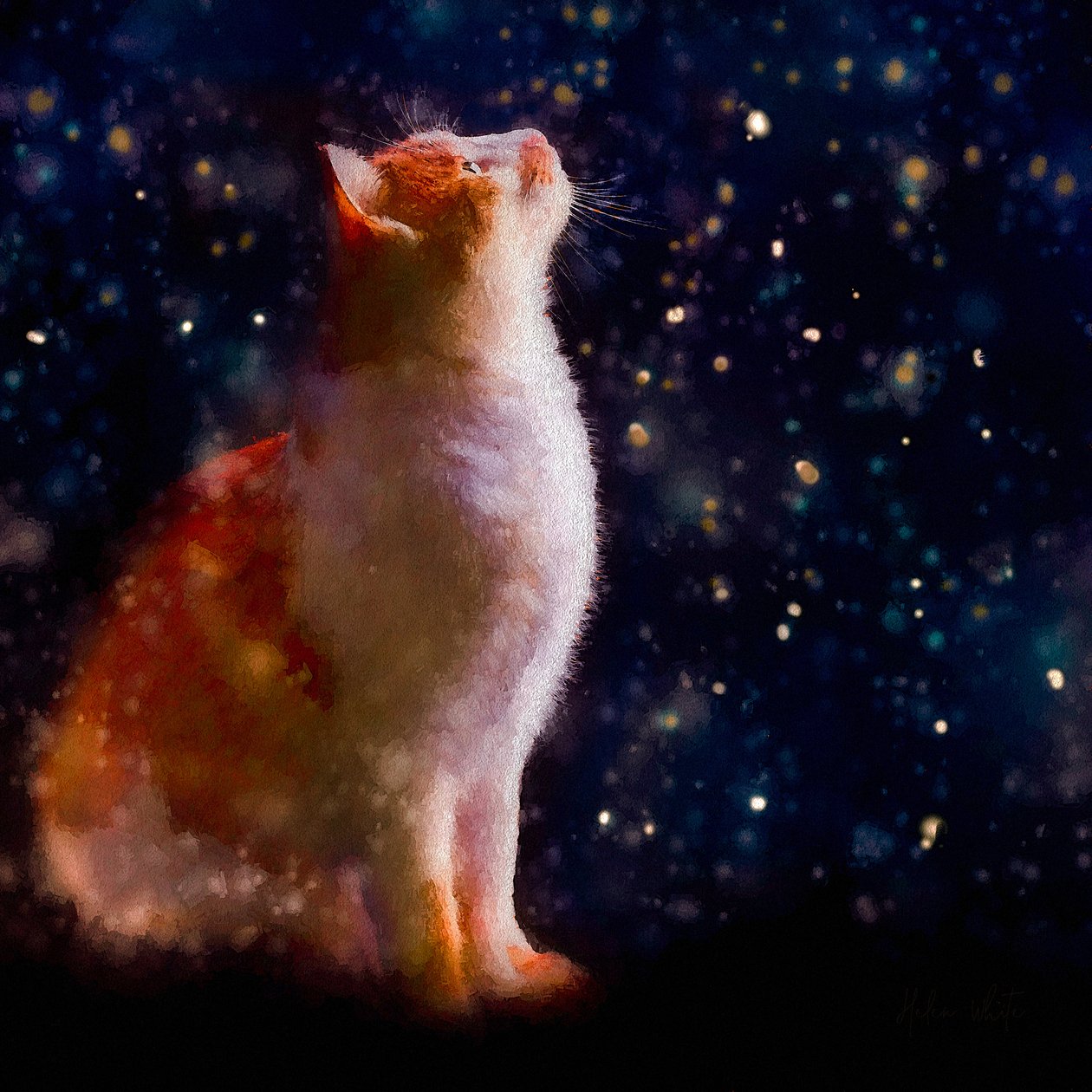 Snow Gazing, 2019 av Helen White