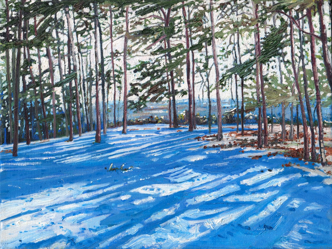 Snowy Ridge, 2009 av Helen White
