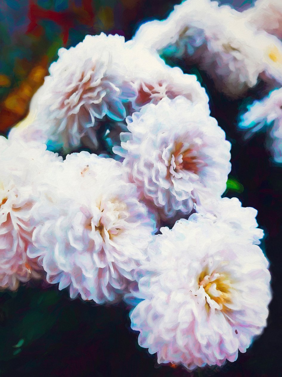 Softly Softly, 2020 av Helen White