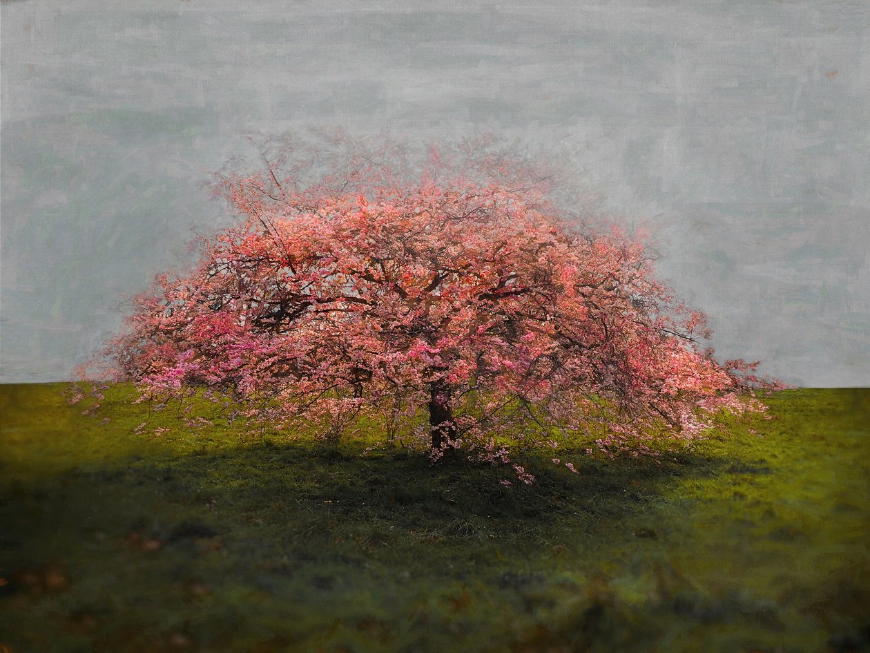 Stand Alone Beauty, 2019 av Helen White