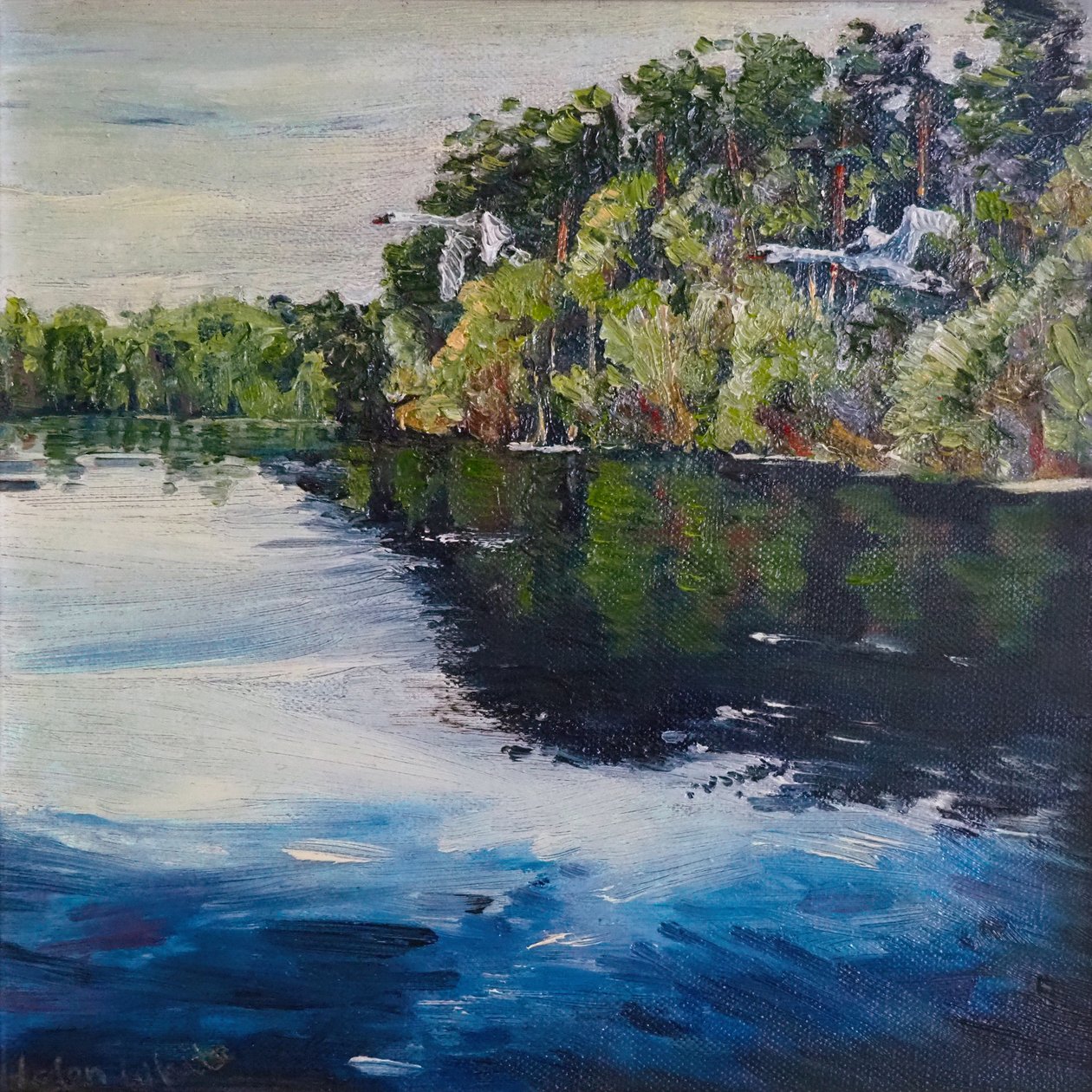 Swan Flight, 2008 av Helen White