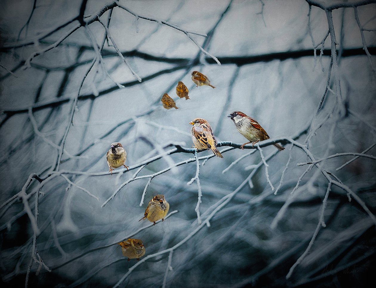 Myldrer av liv, 2019 av Helen White