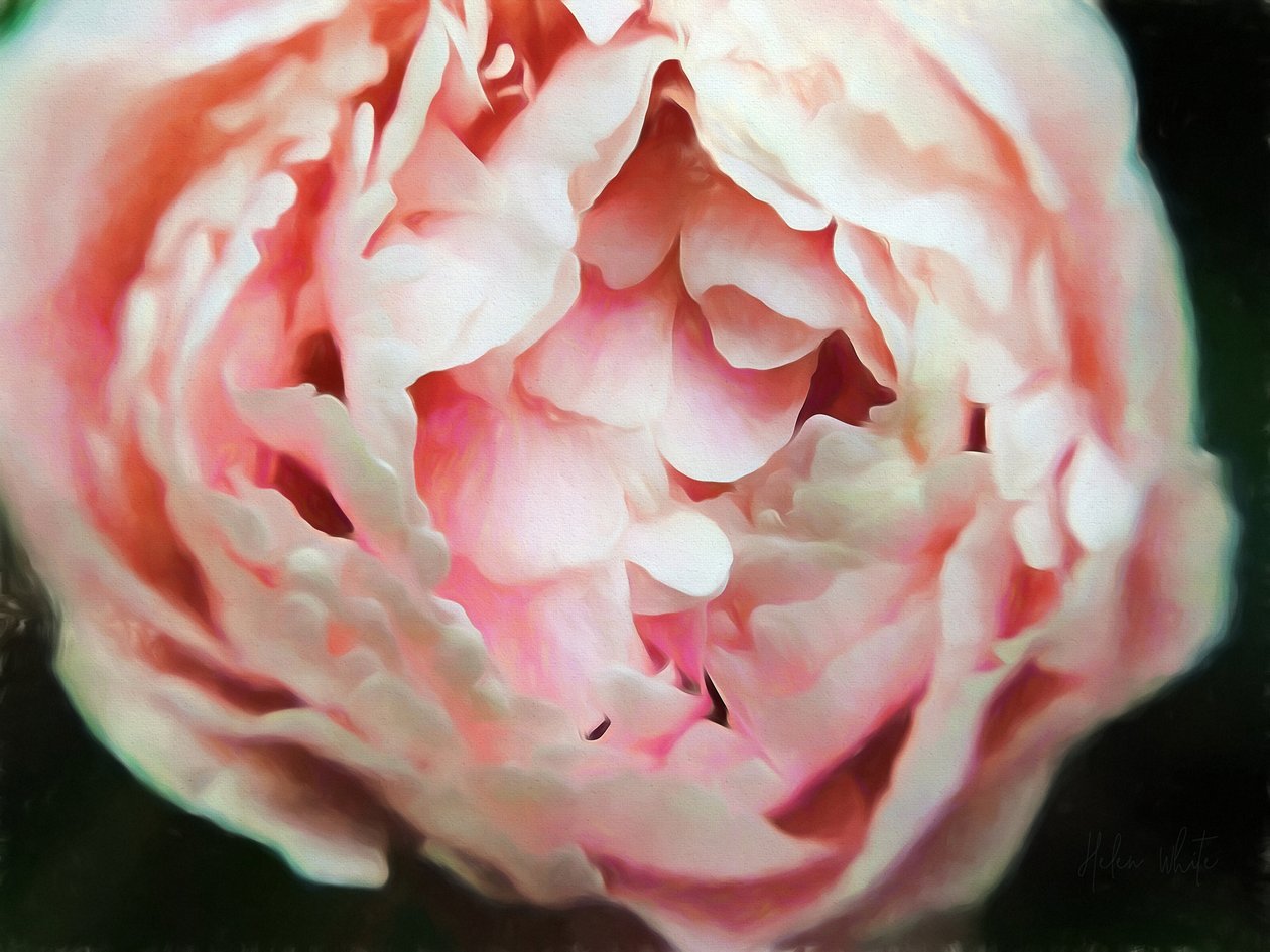 Tender Heart, 2018, av Helen White