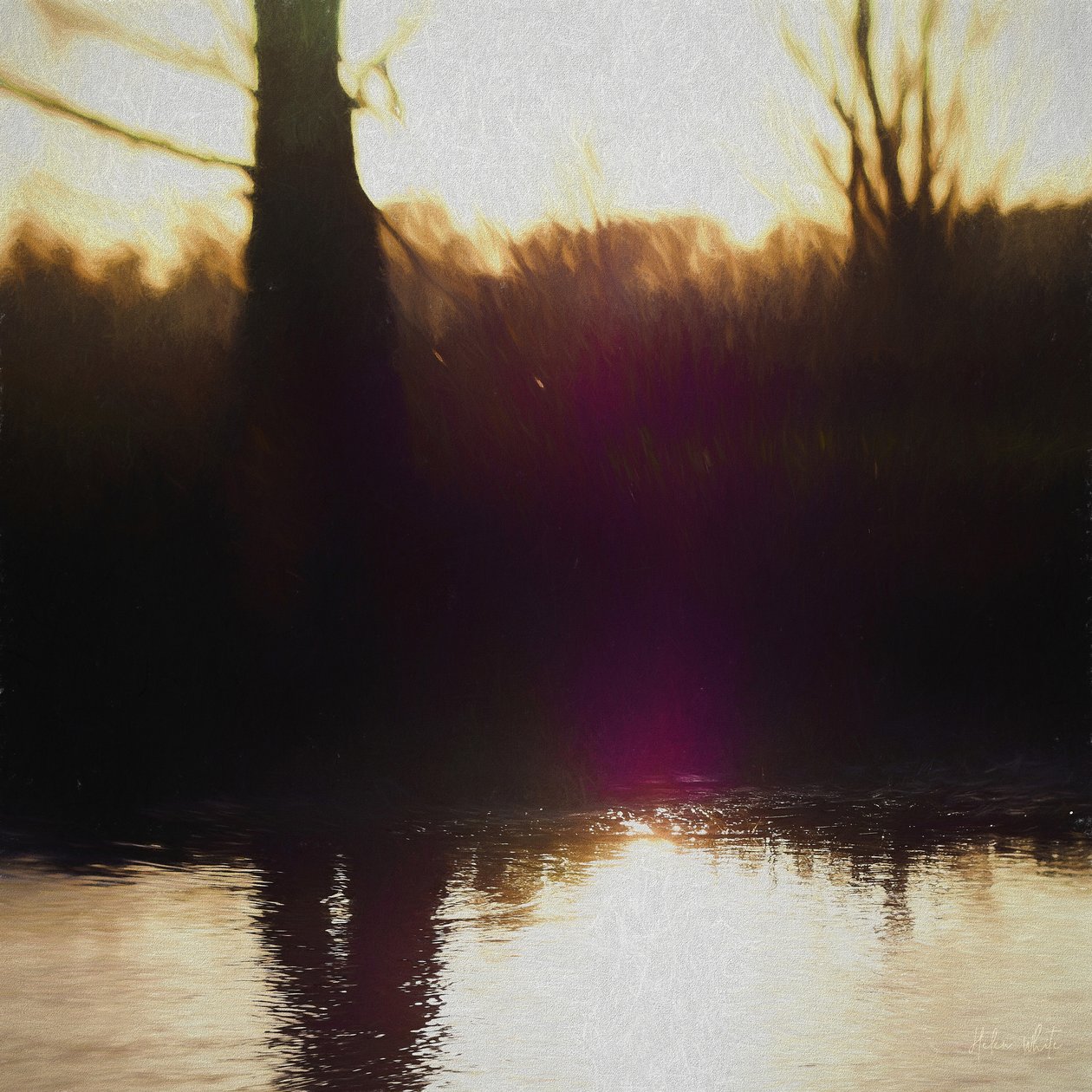 Violet Haze, 2018, av Helen White