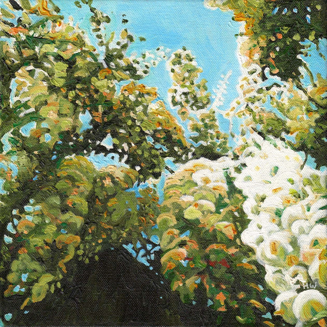 White Wisteria, 2012 av Helen White