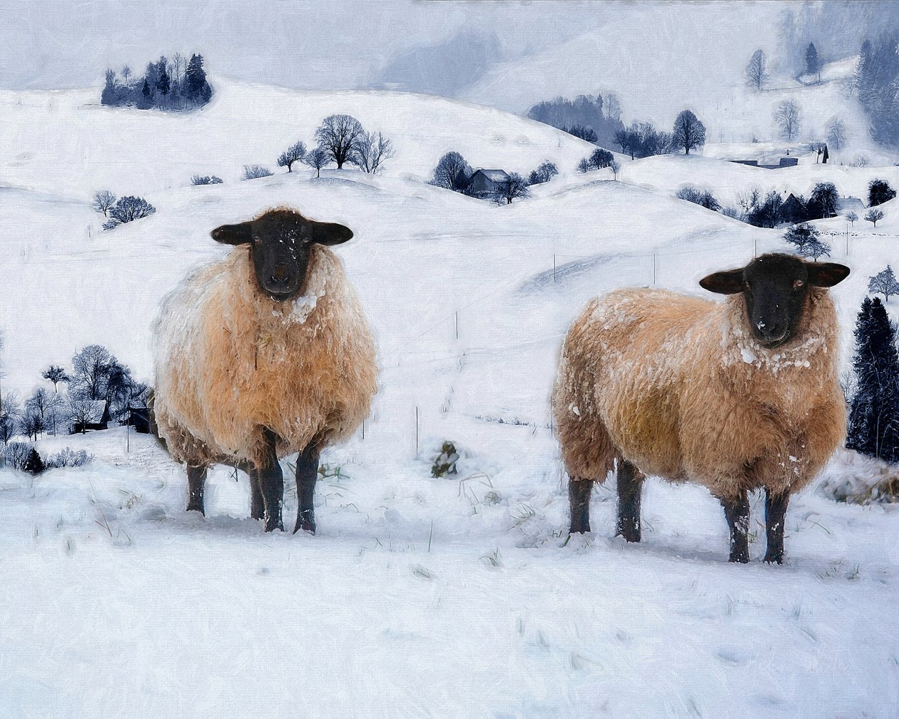 Vinterfrakker, 2019 av Helen White