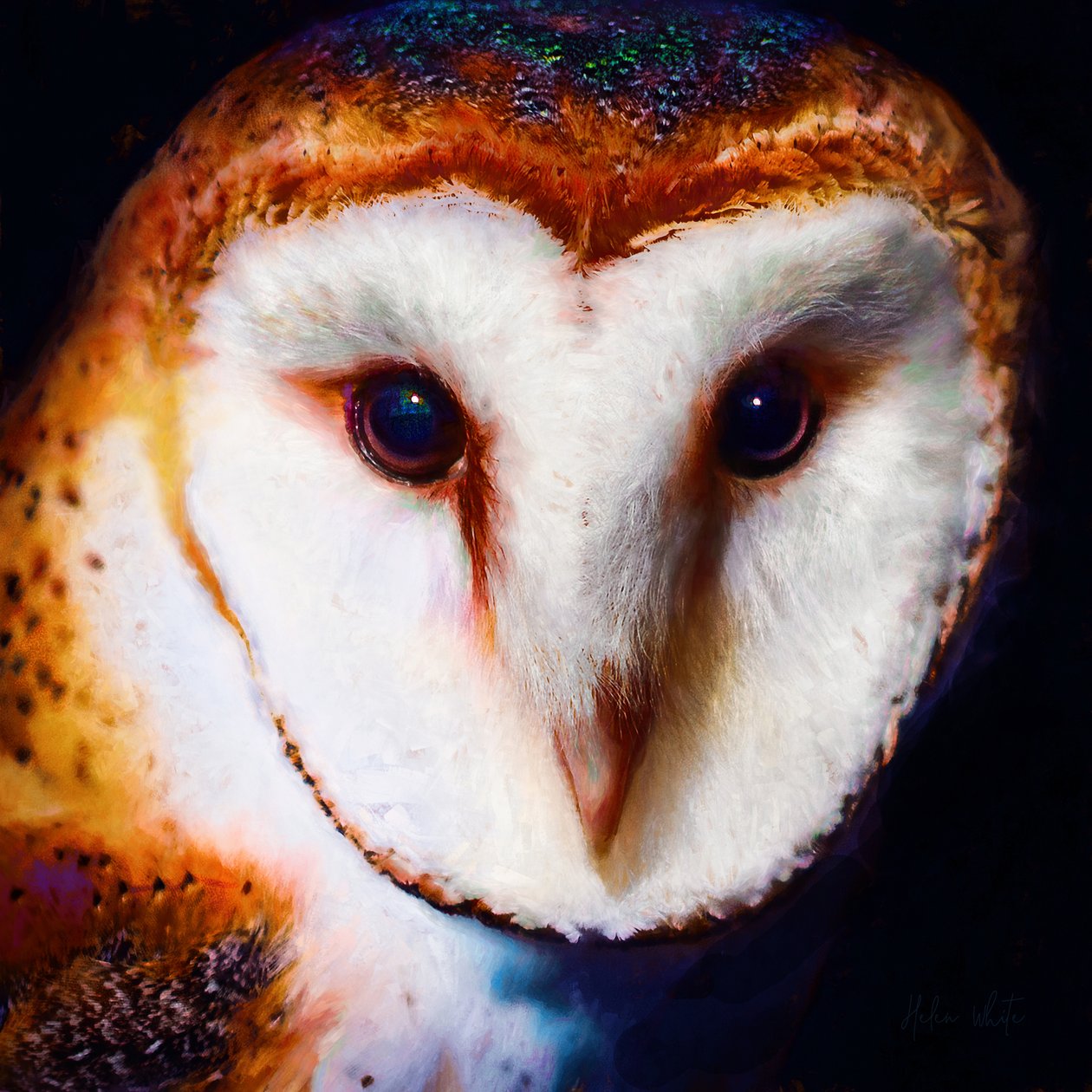 Wisdom in the Dark, 2019 (blandet media) av Helen White