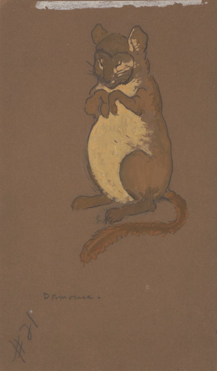  av Henderson, William Penhallow