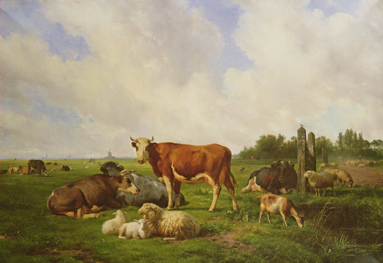 Sau og storfe på et felt av Hendrick van de Sande Bakhuyzen