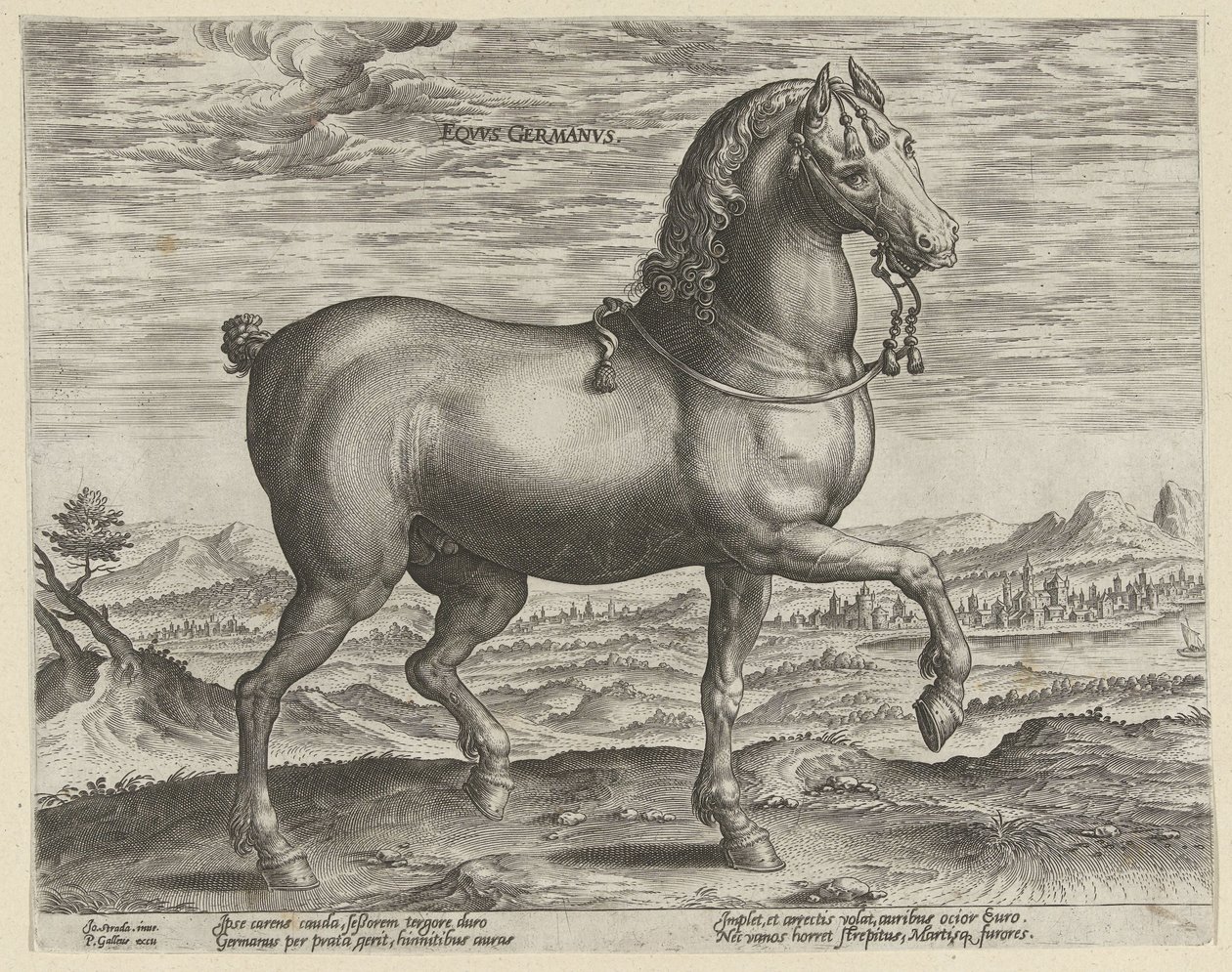 Hingst fra Tyskland Eqvvs Germanvs (tittel på objekt) Hesteraser fra Royal Stables of Don Juan of Austria (serietittel) Equile Ioannis Austriaci Caroli (serietittel) av Hendrick Goltzius (possibly)