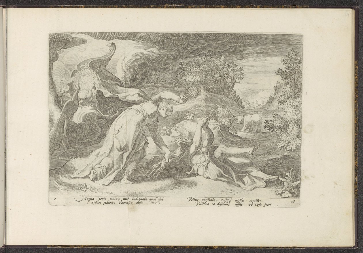 Juno gjør Callisto til en bjørn Ovids metamorfoser (serietittel) Gjenskapninger av P. Ovidius Naso (serietittel) av Hendrick Goltzius (workshop of)