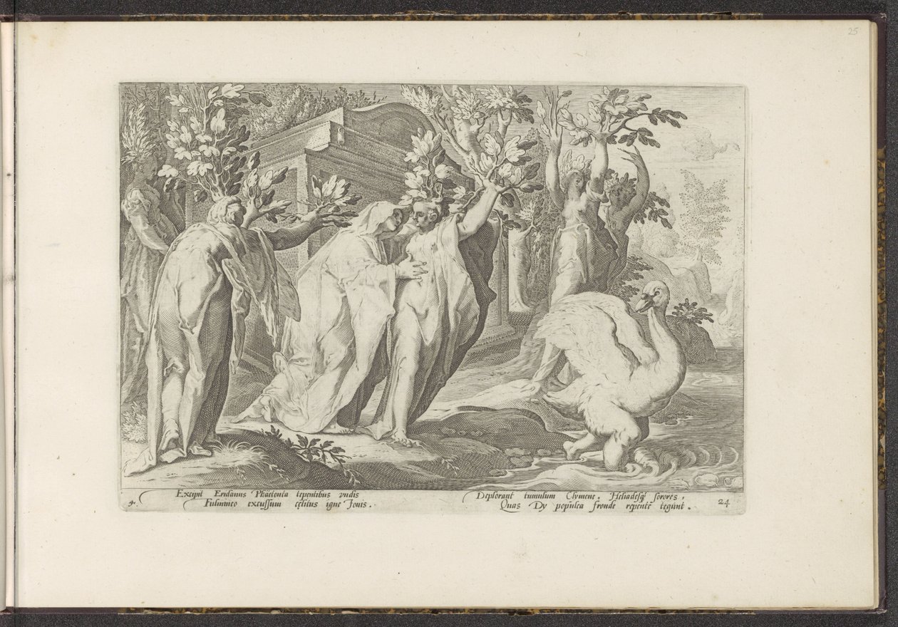 Phaëthons søstre blir til poppel og vennen til en svane Ovids metamorfoser (serietittel) Gjenskapninger av P. Ovidius Naso (serietittel) av Hendrick Goltzius (workshop of)