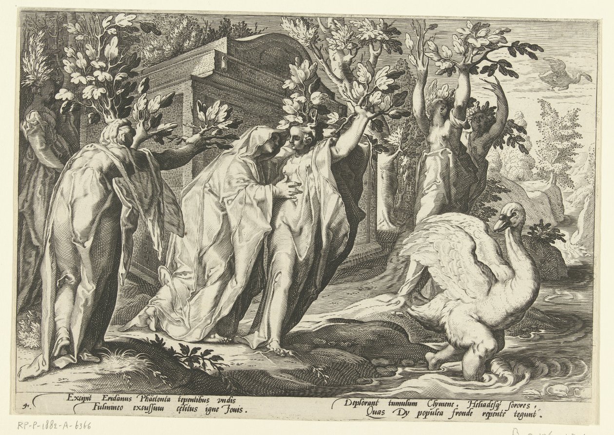 Phaëthons søstre blir til poppel og vennen til en svane Ovids metamorfoser (serietittel) av Hendrick Goltzius (workshop of)