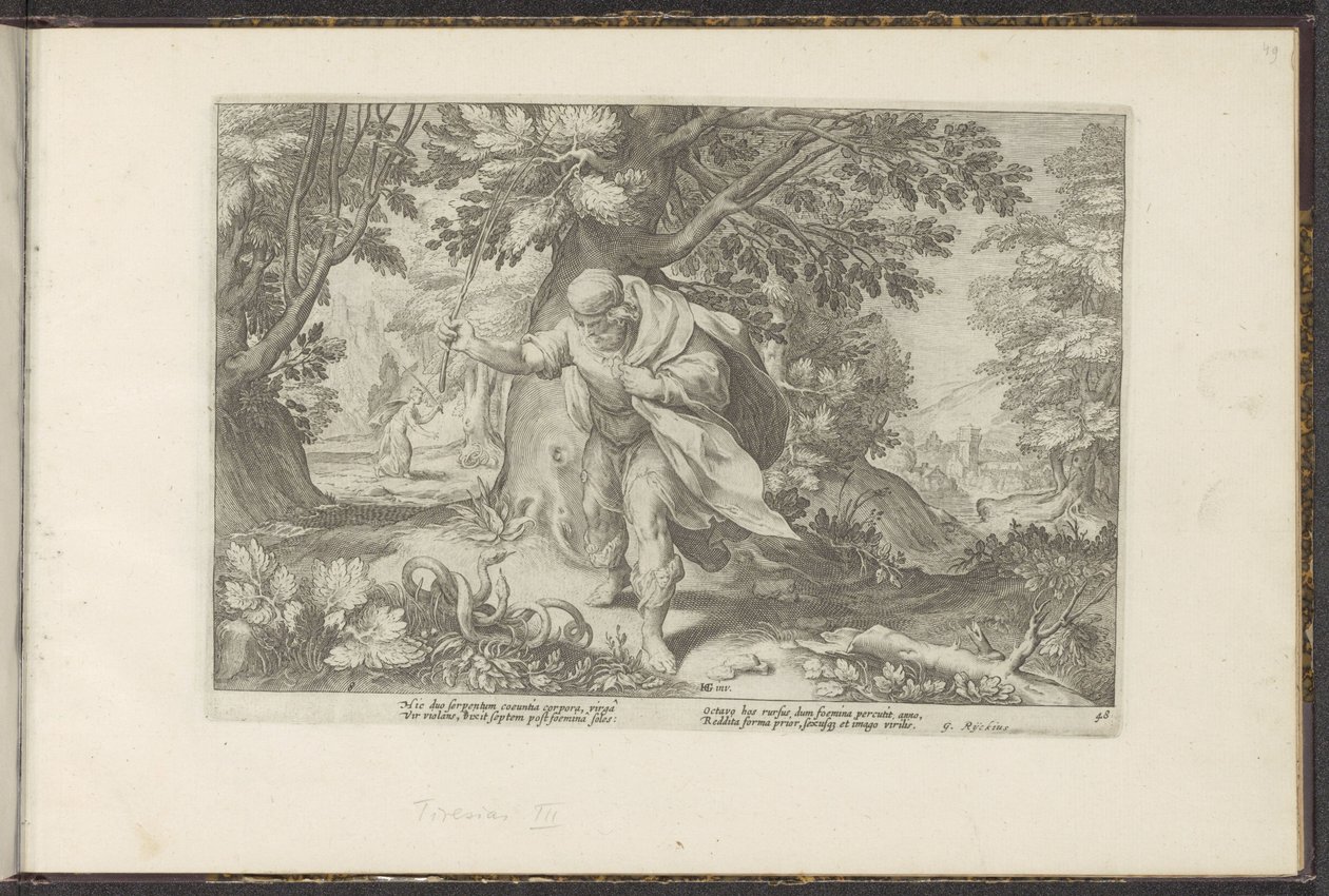 Tiiresias slår to parrende slanger Ovids metamorfoser (serietittel) Gjenskapninger av P. Ovidius Naso (serietittel) av Hendrick Goltzius (workshop of)