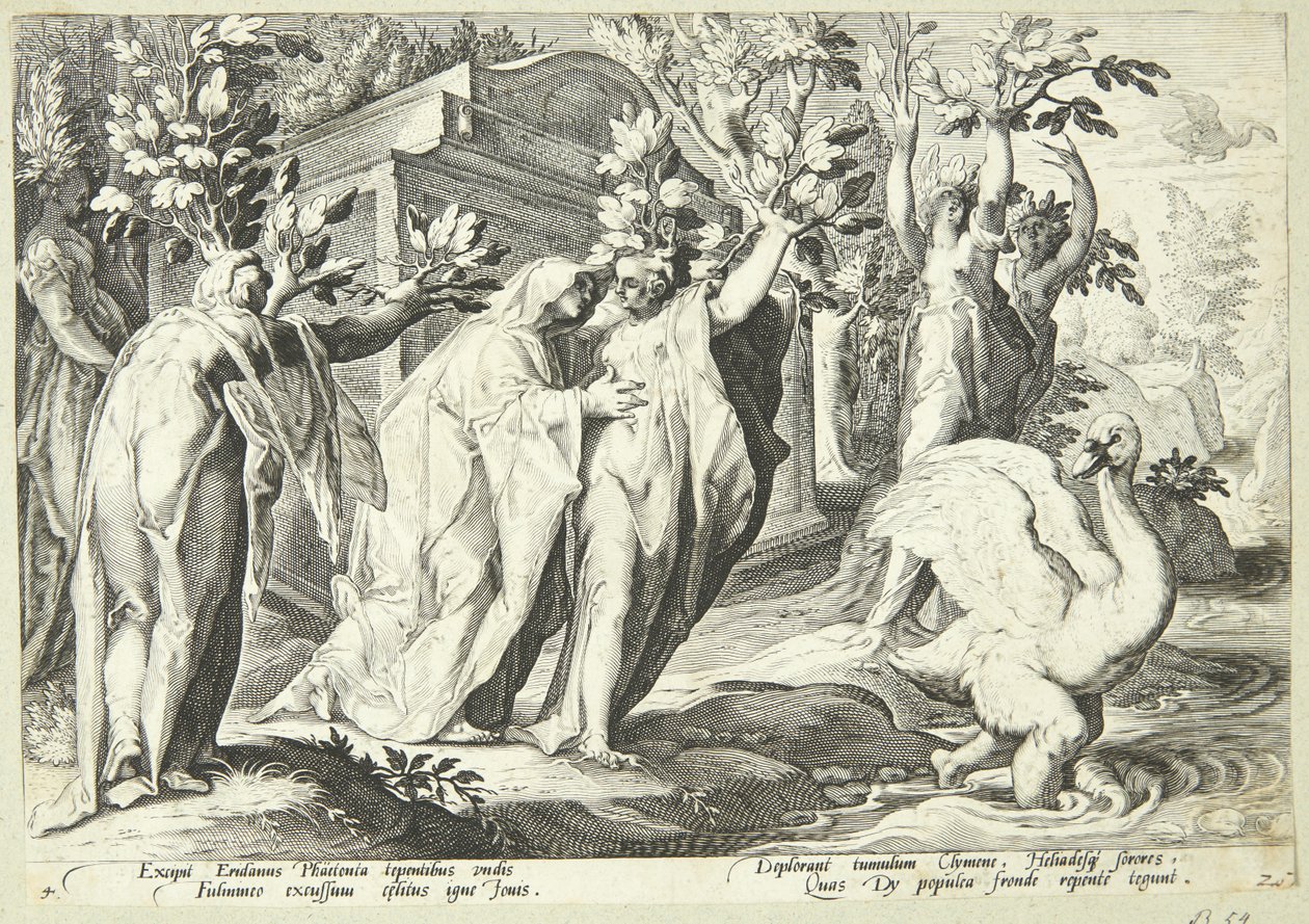 Phaetons søstre blir forvandlet til poppeltrær og Cygnus til en svane av Hendrick Goltzius