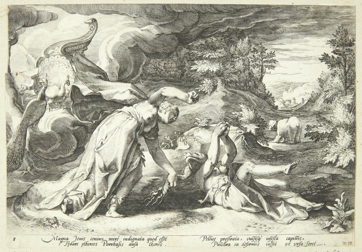 Juno gjør Kallisto til en bjørn av Hendrick Goltzius
