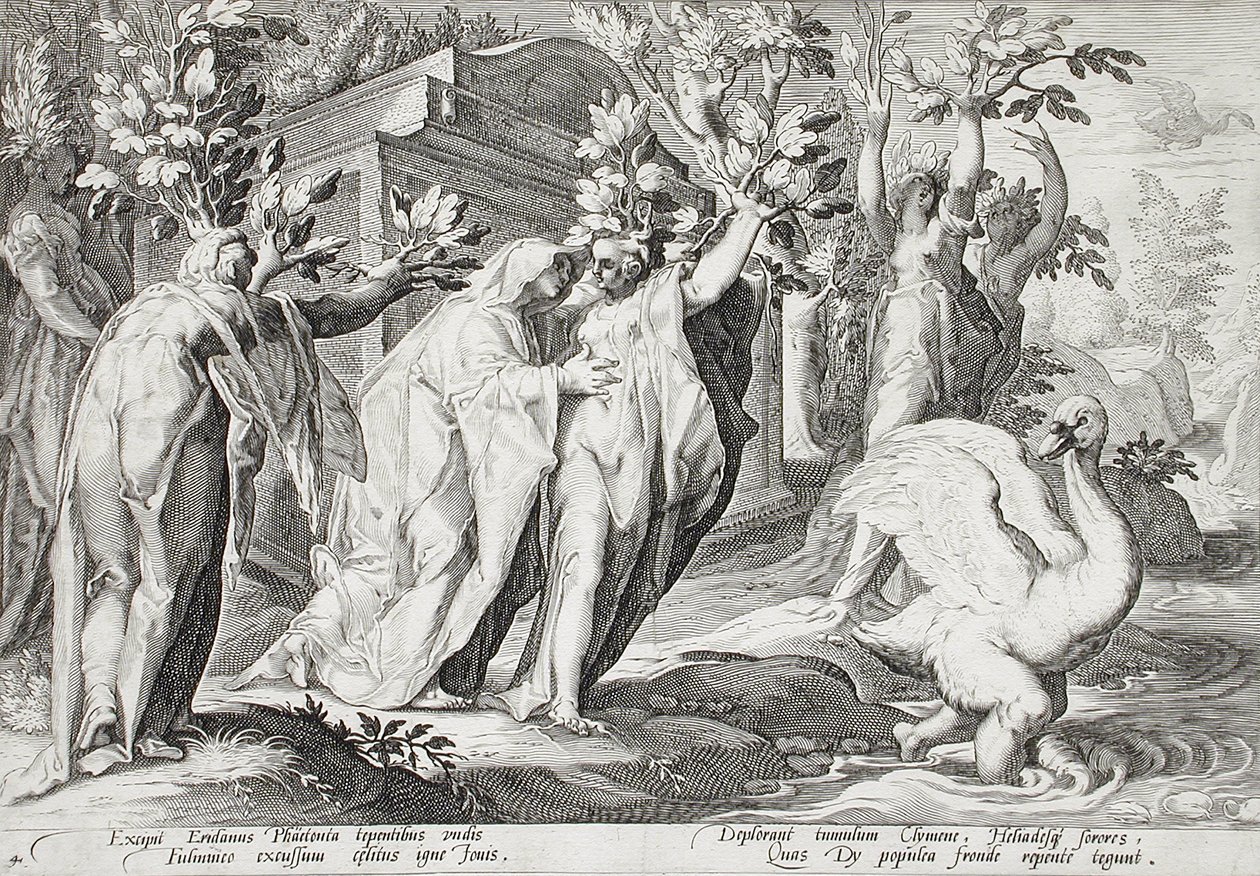 Phaëtons søstre forvandlet til popler og Cygnus til en svane av Hendrick Goltzius