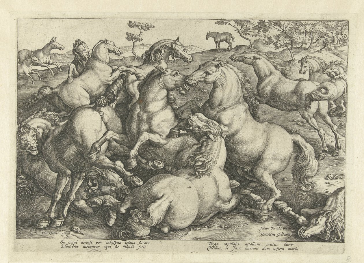 Tolv kamphester Hesteraser fra den kongelige stallen til Don Juan av Østerrike (serietittel) av Hendrick Goltzius