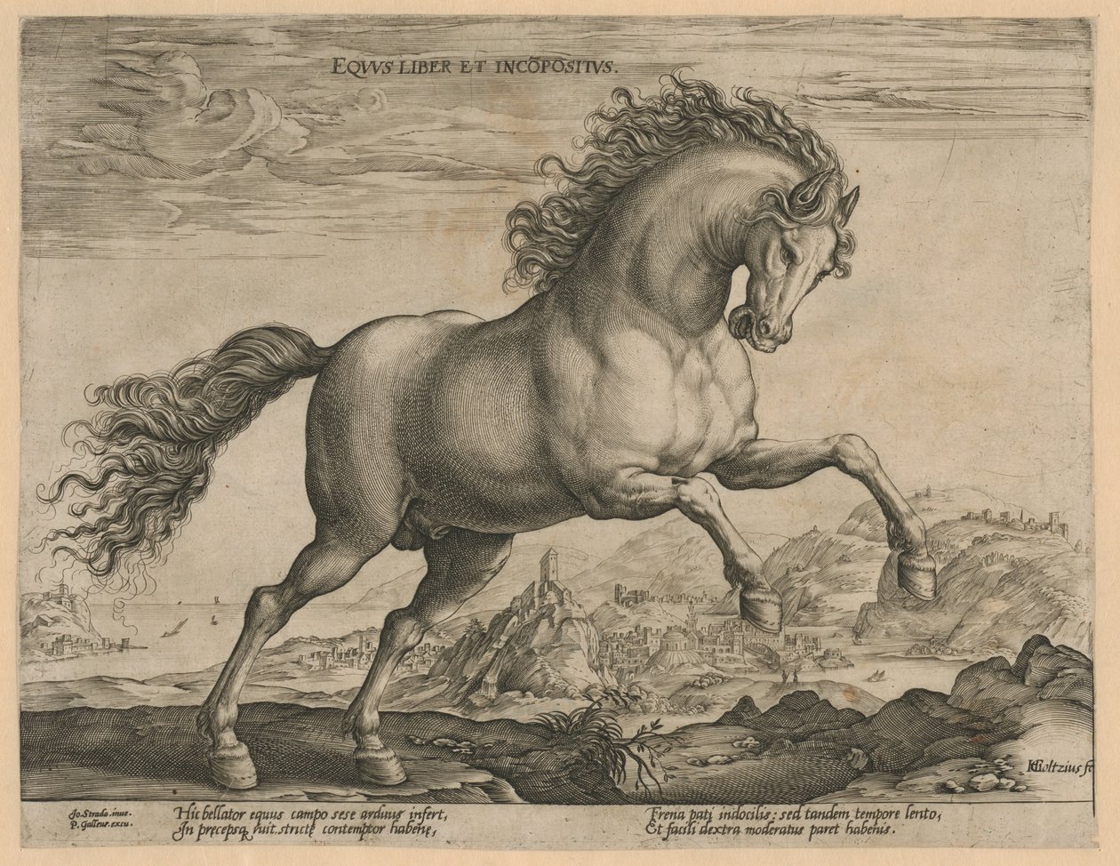 villhest Eqvvs liber et incompǒsitvs (tittel på objekt) Hesteraser fra den kongelige stallen til Don Juan av Østerrike (serietittel) av Hendrick Goltzius