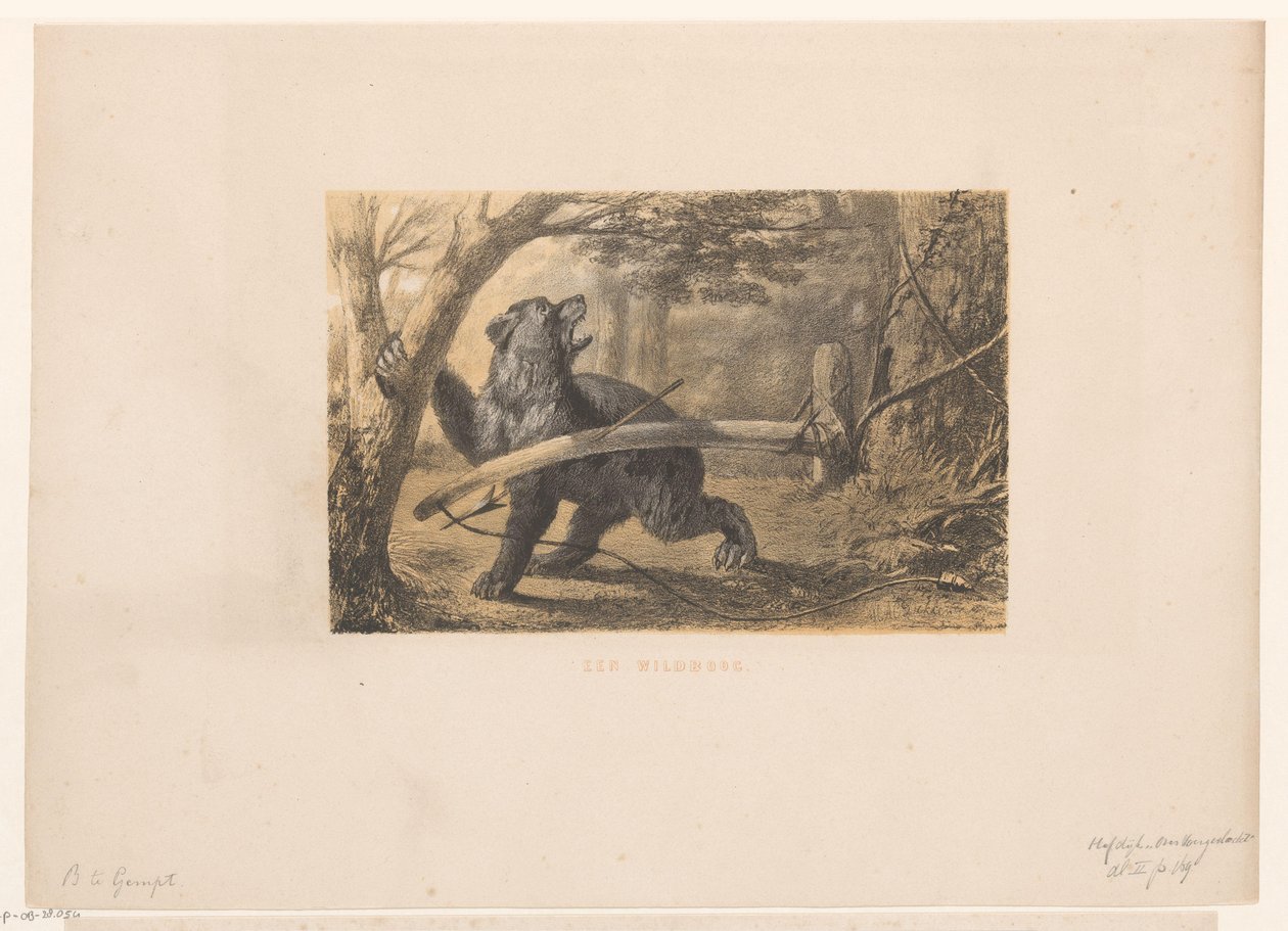 Bjørn i en felle En bue (tittel på objekt) av Hendrik Adriaan Christiaan Dekker