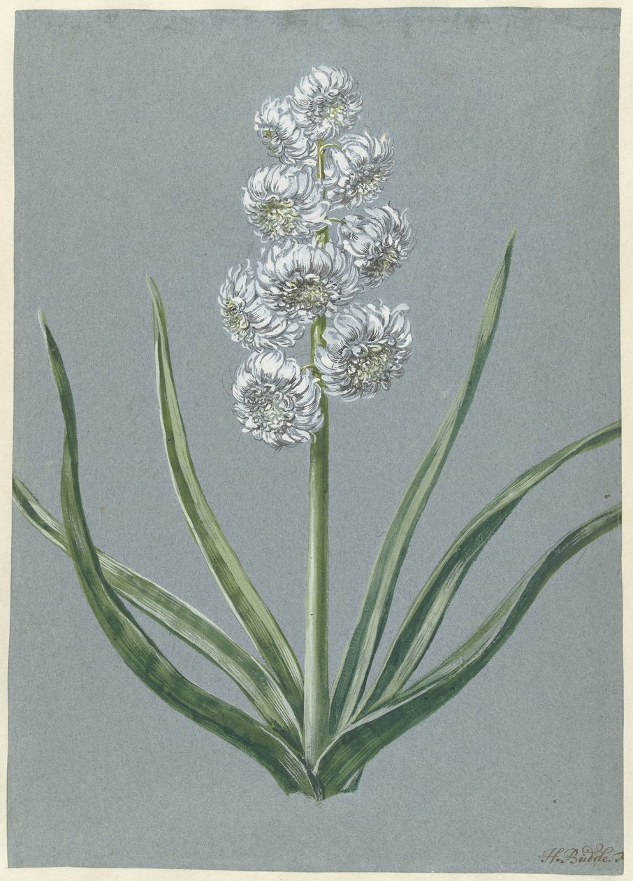 Hyacinth Margrave Karel van Baden Durlach Marqgraeff Carel v: Baden Durlach (tittel på objekt) av Hendrik Budde