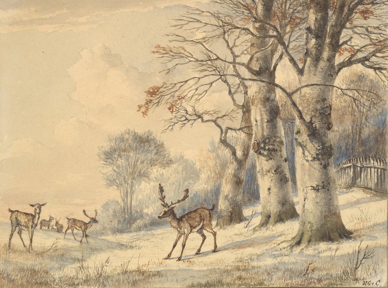 Hjort under bøketrær om sommeren, 1853. av Hendrik Gerrit ten Cate