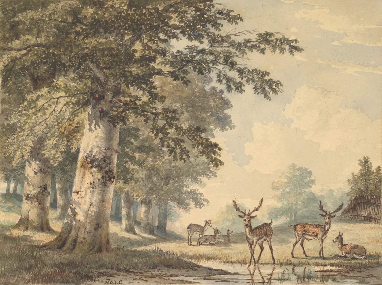 Hjort under bøketrær om vinteren, 1853. av Hendrik Gerrit ten Cate