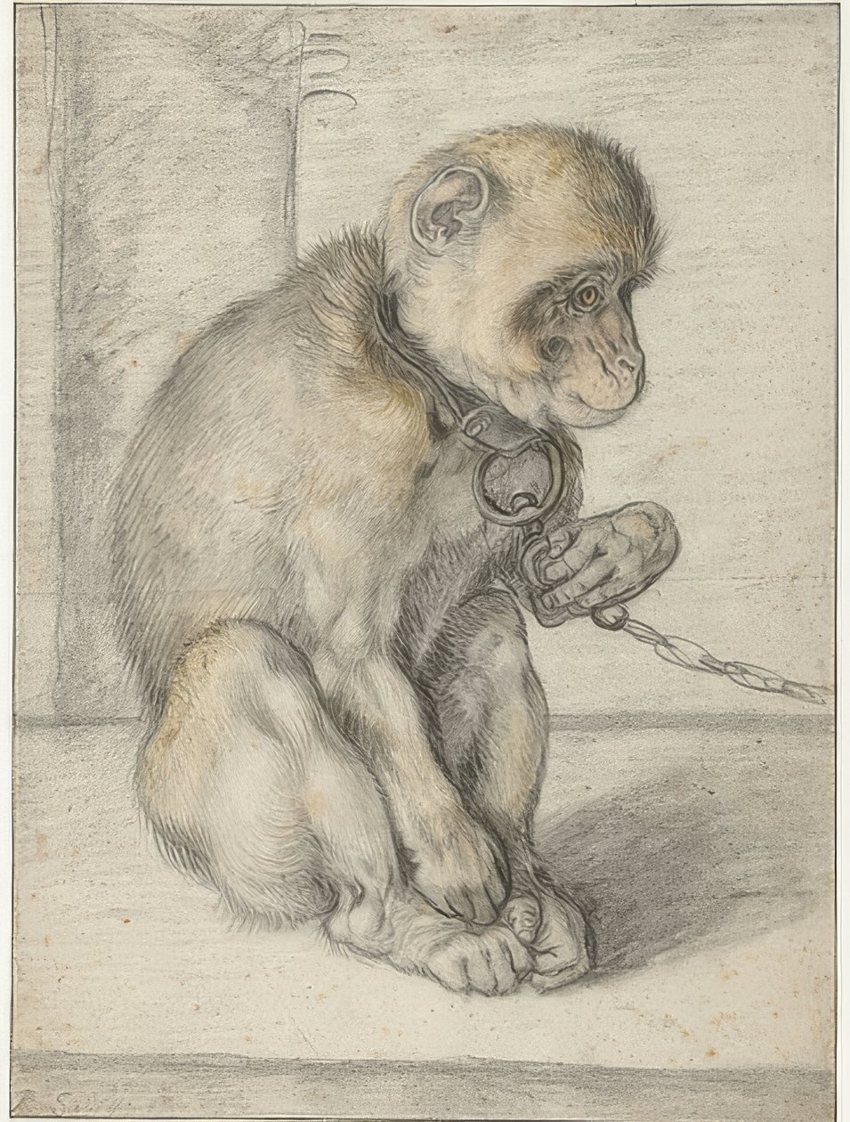 En sittende ape på en lenke. 1592-1602 av Hendrik Goltzius